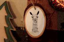 Load image into Gallery viewer, B&W Ornaments