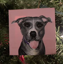 Load image into Gallery viewer, Custom Pet Paintings
